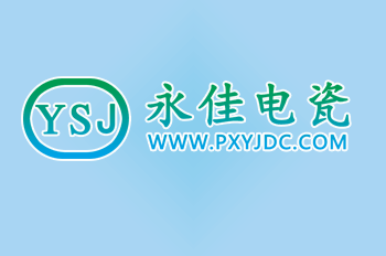 前十名股東持股情況